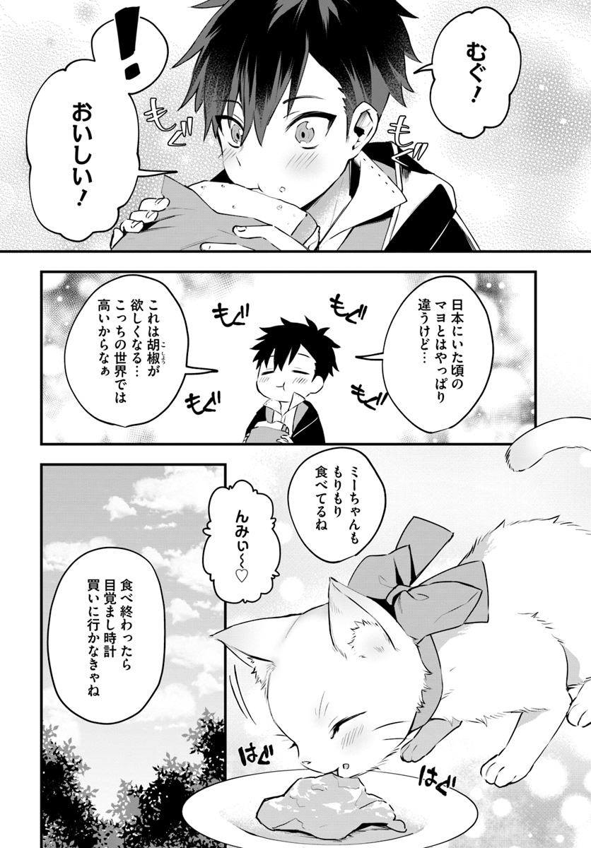 神猫ミーちゃんと猫用品召喚師の異世界奮闘記 - 第4話 - Page 12