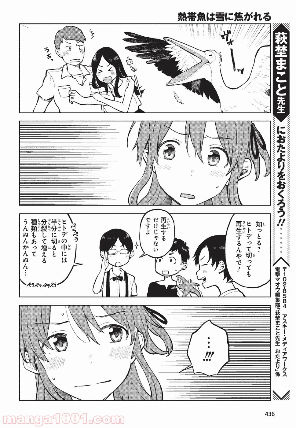 熱帯魚は雪に焦がれる - 第4話 - Page 10