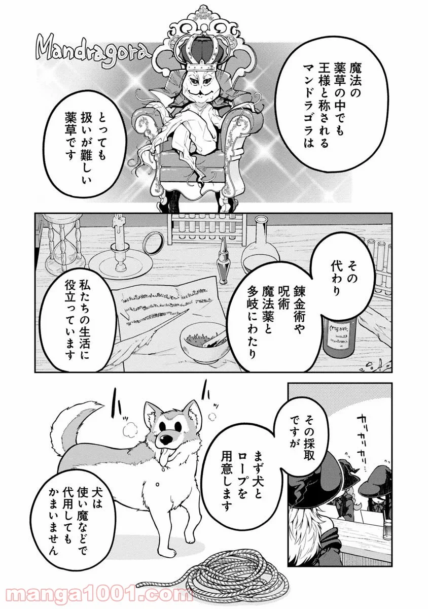 魔女の立ち飲み薬酒店 - 第3話 - Page 3