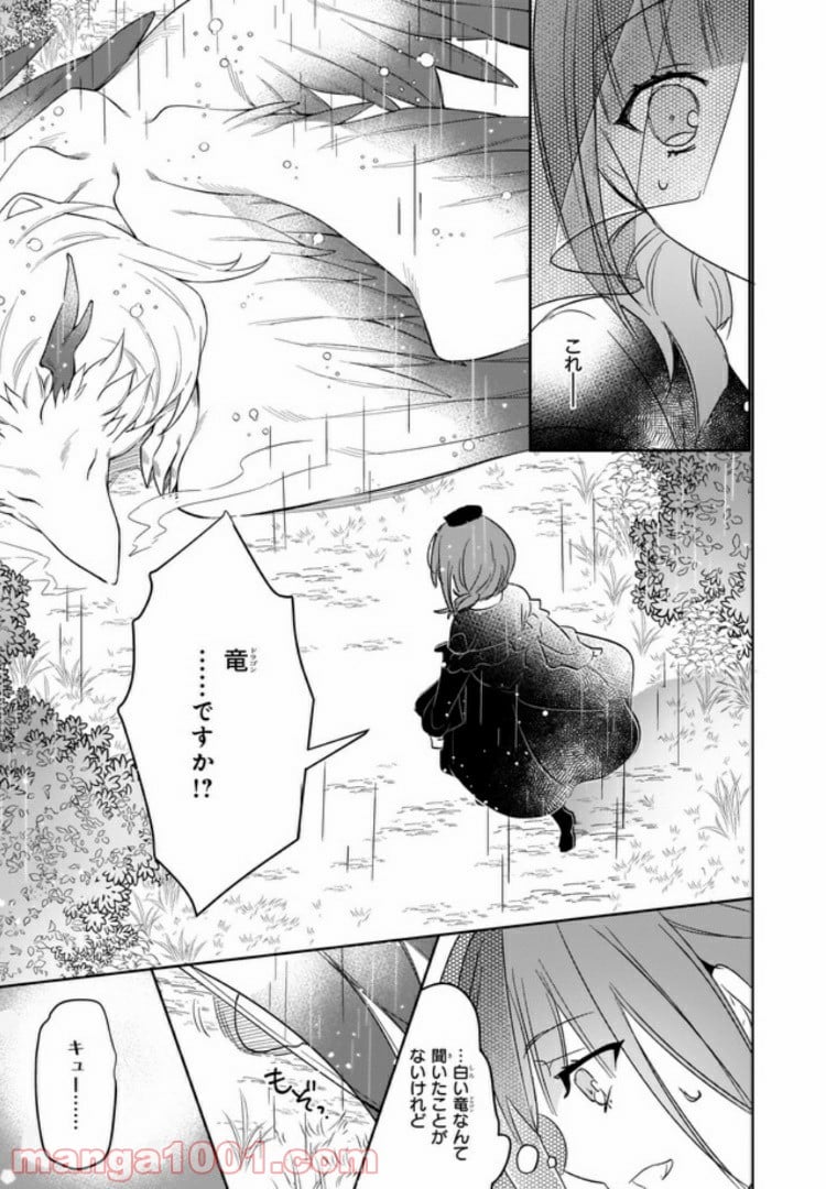 薬師の伯爵令嬢は伝説の仔竜に愛される 第1.2話 - Trang 5