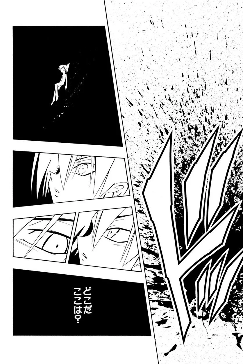 SHAMAN KING ～シャーマンキング～ KC完結版 第179話 - Trang 12