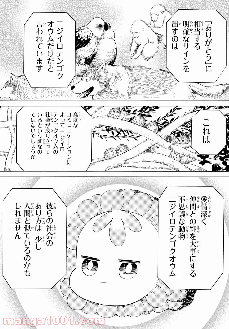 ニジとクロ - 第6話 - Page 15