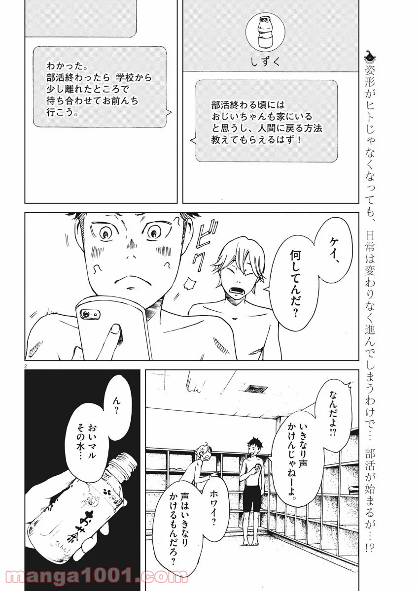 パッカ - 第4話 - Page 2