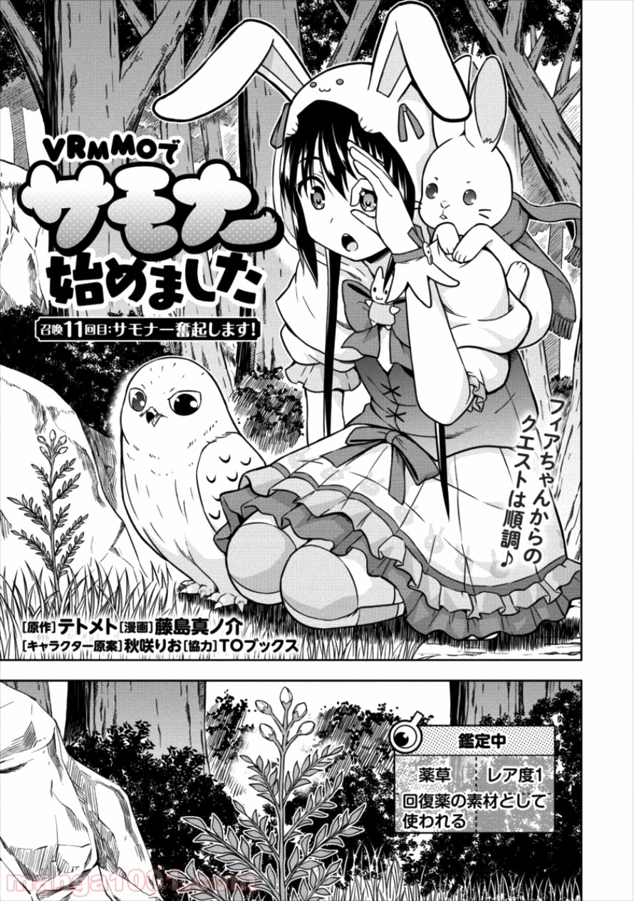 VRMMOでサモナー始めました 第11話 - Trang 1