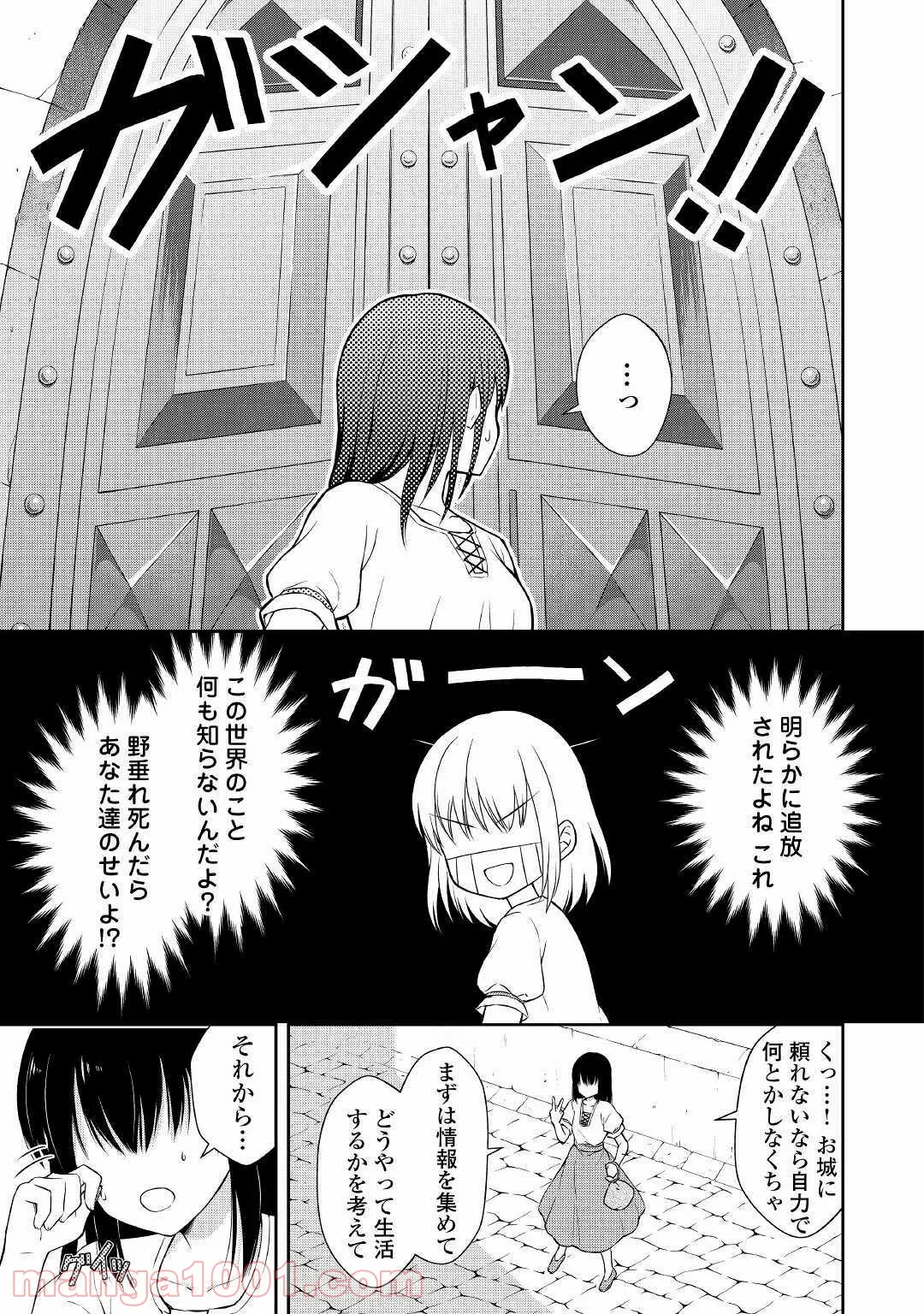 村人召喚？　お前は呼んでないと追い出されたので気ままに生きる - 第1話 - Page 29