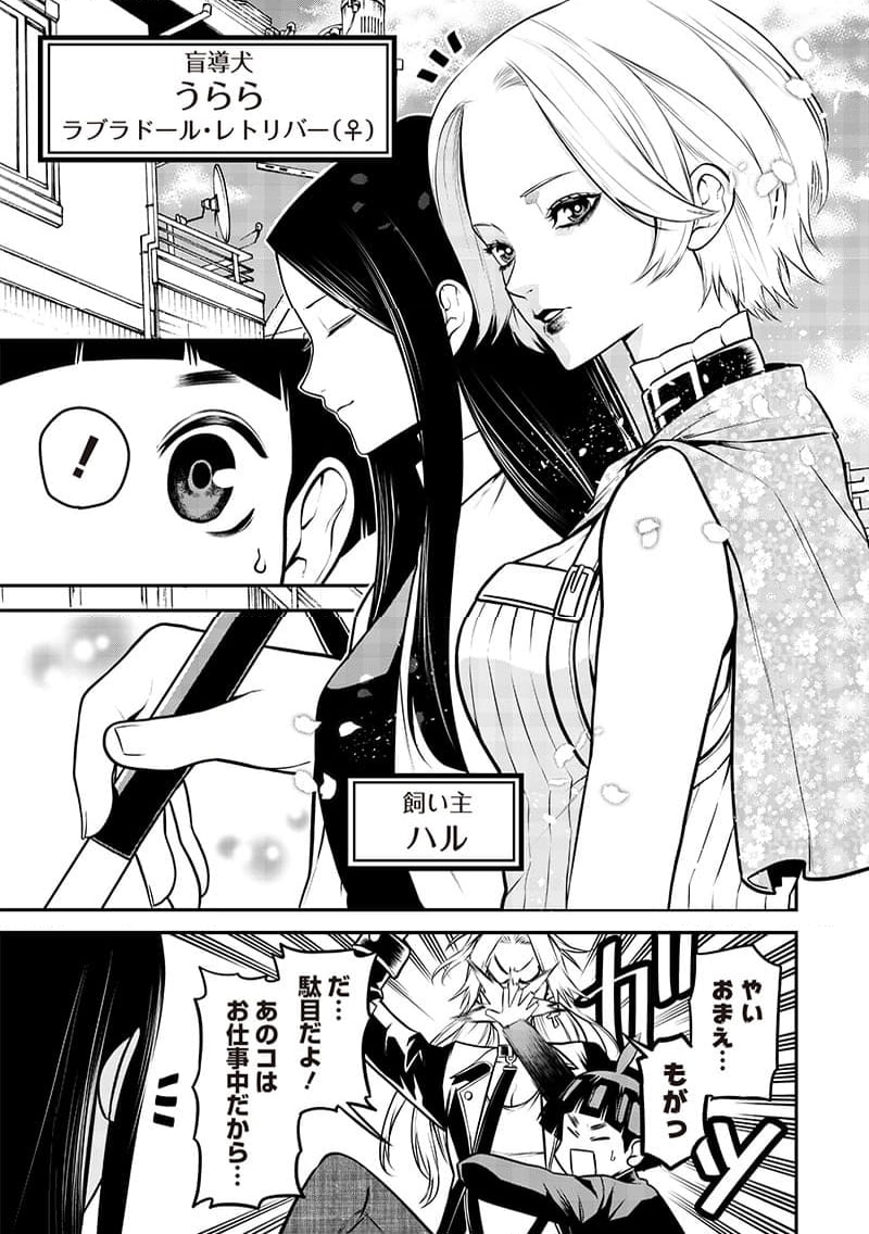 ポン太がヒトになりまして。犬がヒトになる話 第31話 - Trang 3