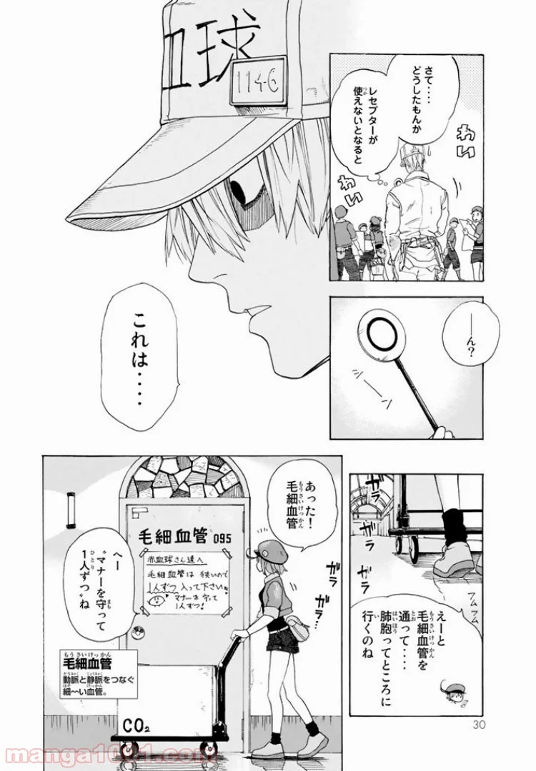 はたらく細胞 - 第1話 - Page 30