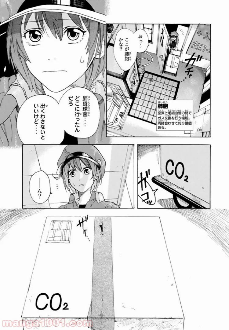 はたらく細胞 - 第1話 - Page 31