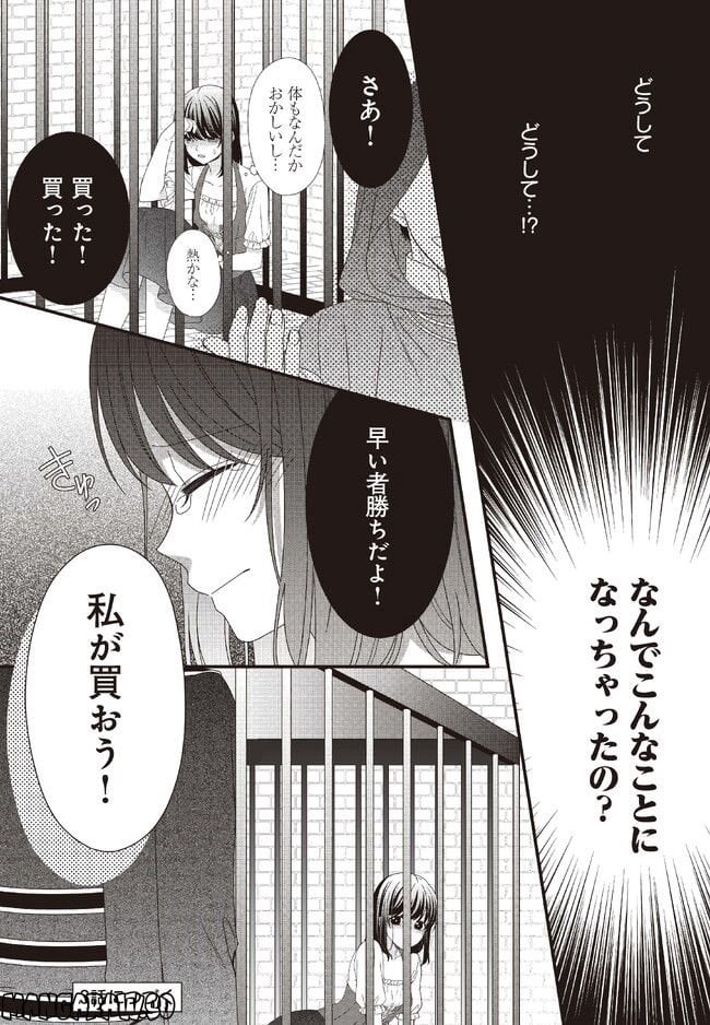 異世界で絶倫魔導師に買われたらメチャクチャ溺愛されています。 - 第2話 - Page 24