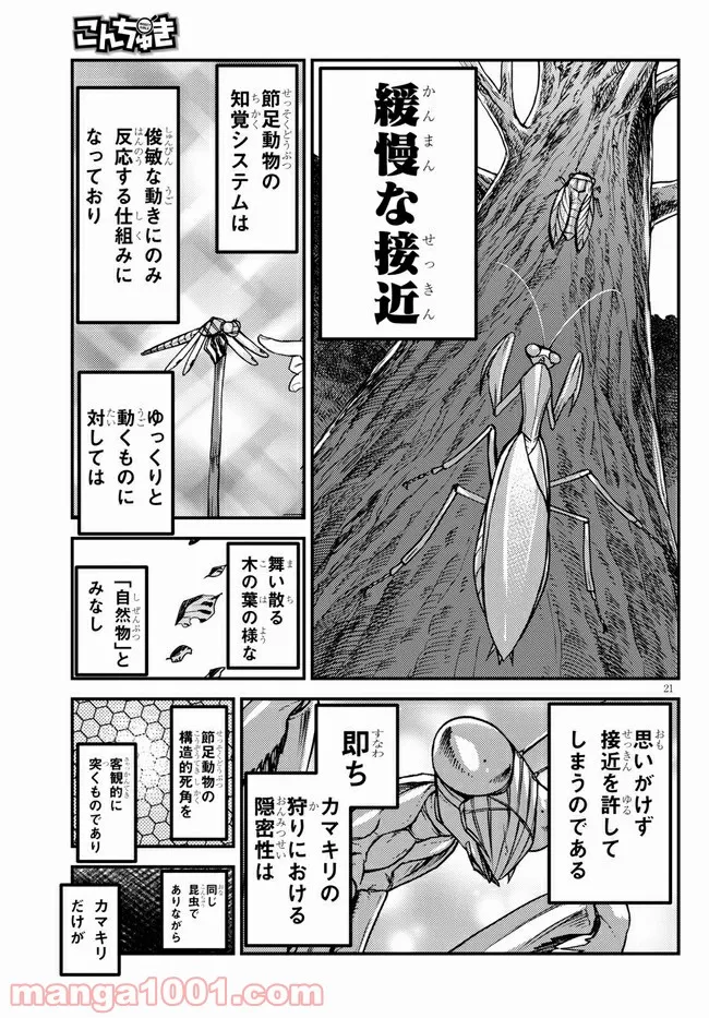 こんちゅき 第4.2話 - Trang 11