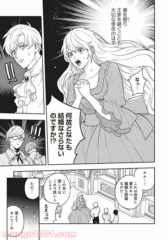 諸事情により、男装姫は逃亡中！ 第1.1話 - Trang 22