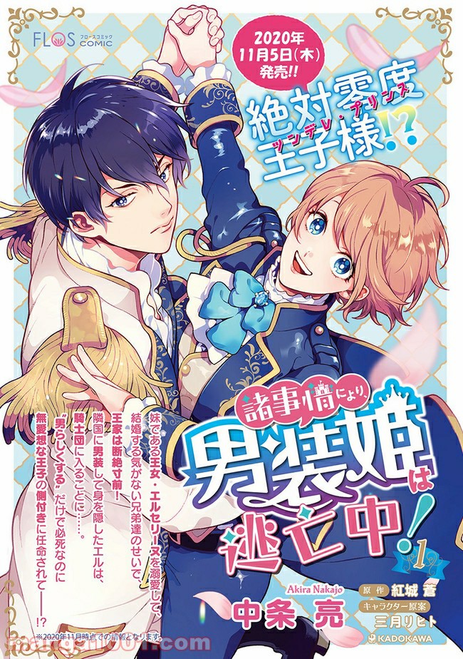 諸事情により、男装姫は逃亡中！ 第3.1話 - Trang 11