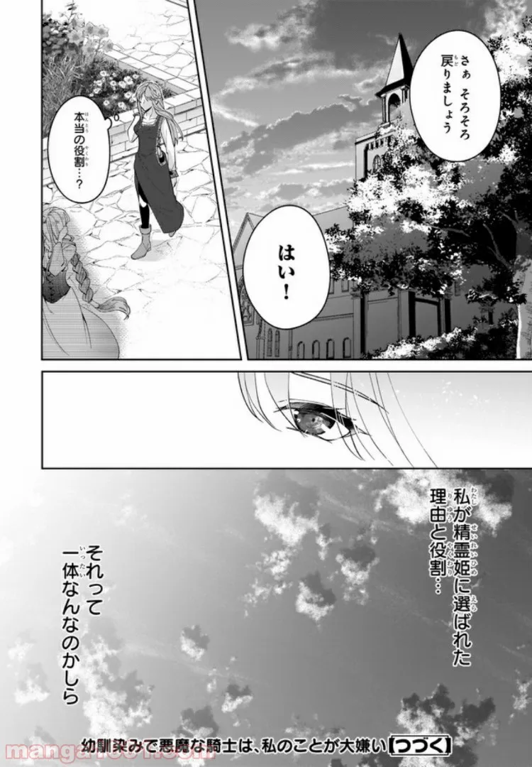 幼馴染みで悪魔な騎士は、私のことが大嫌い 第3.3話 - Trang 7