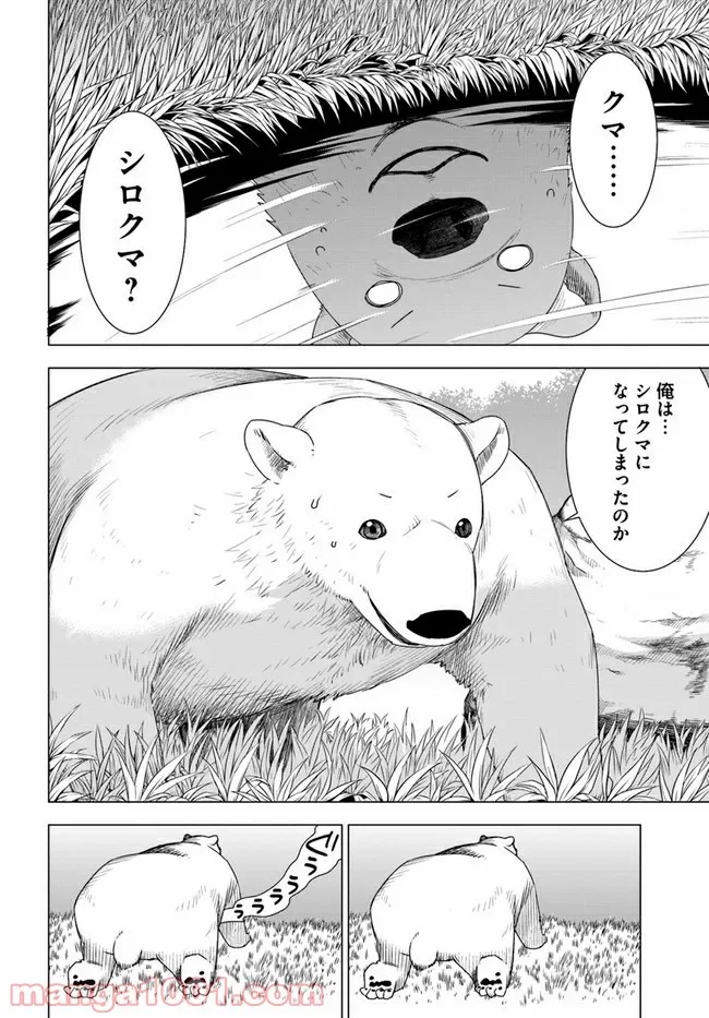 シロクマ転生 森の守護神になったぞ伝説 - 第1話 - Page 24