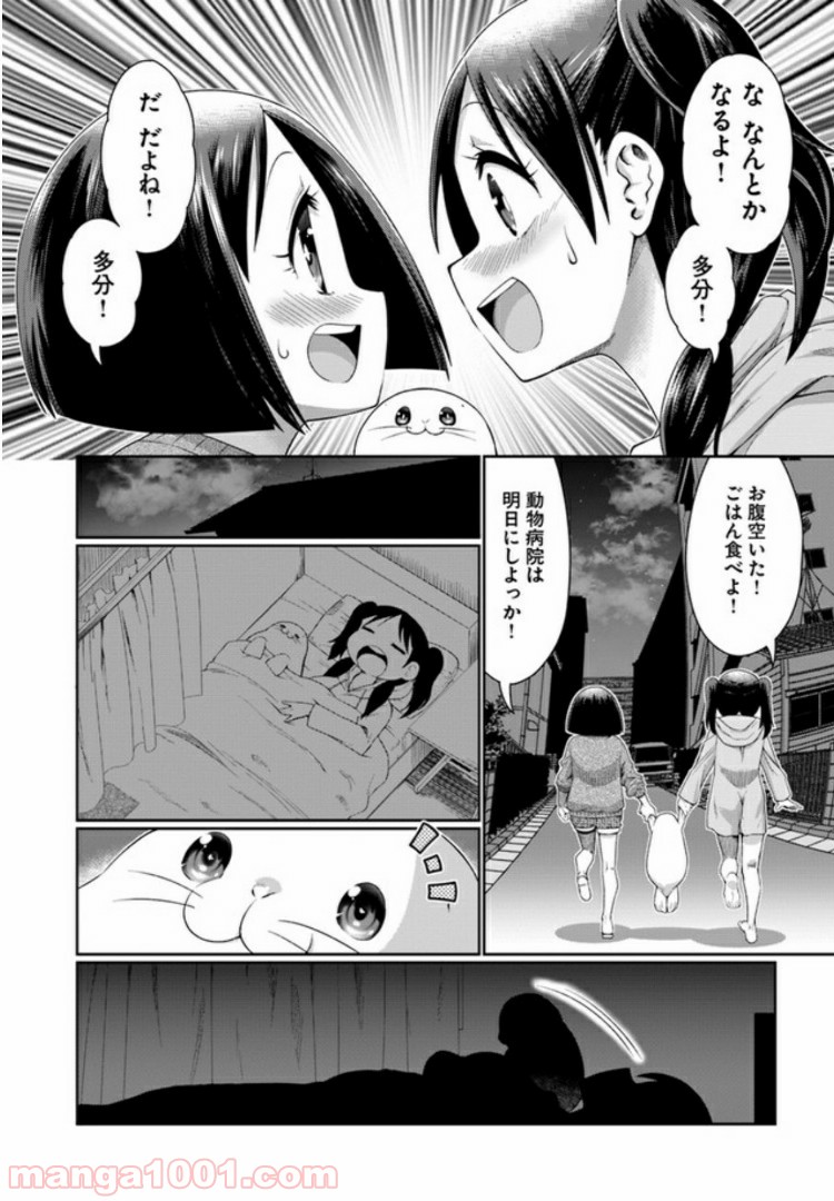 ふりむけばアザラシ - 第1話 - Page 13