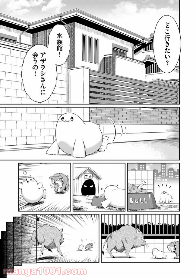 ふりむけばアザラシ - 第8話 - Page 17