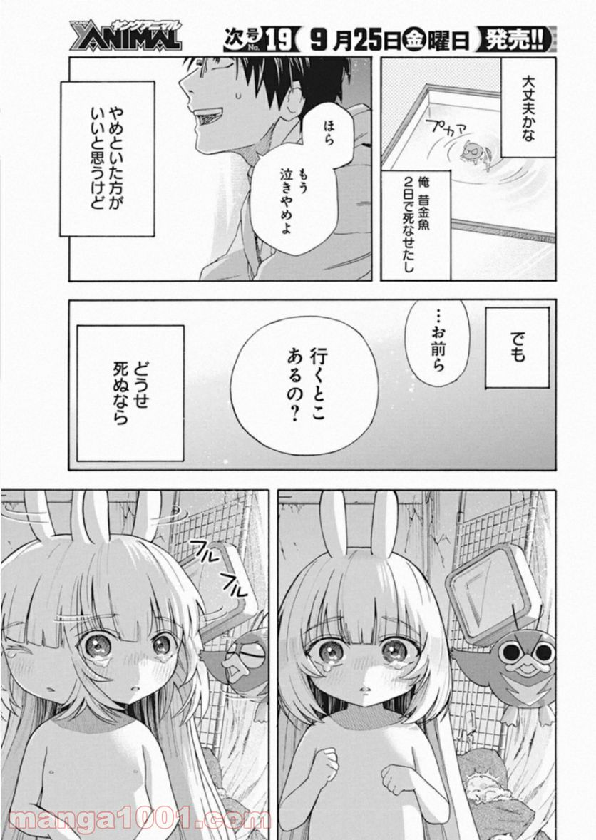 人類を滅亡させてはいけません - 第1話 - Page 36