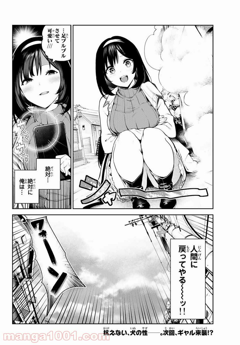 犬になったら好きな人に拾われた。 - 第2話 - Page 16