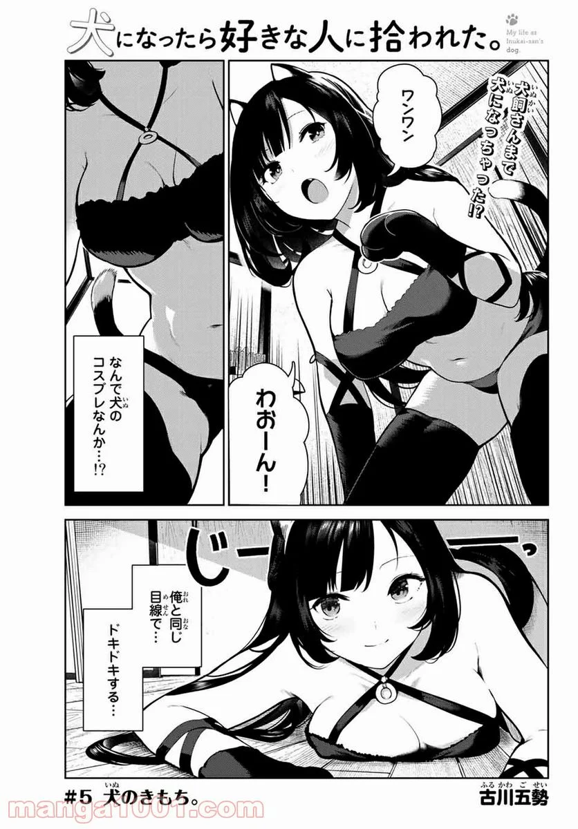 犬になったら好きな人に拾われた。 第5話 - Trang 1