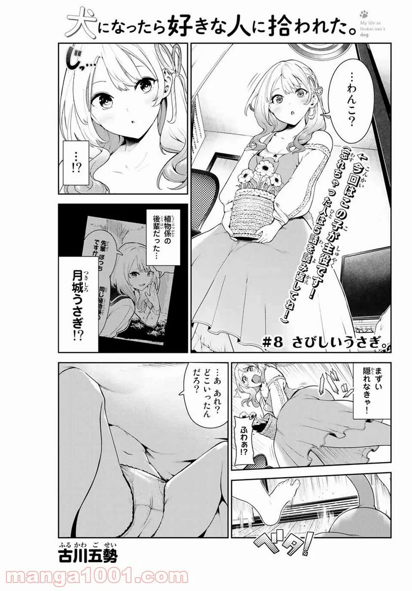 犬になったら好きな人に拾われた。 第8話 - Trang 1