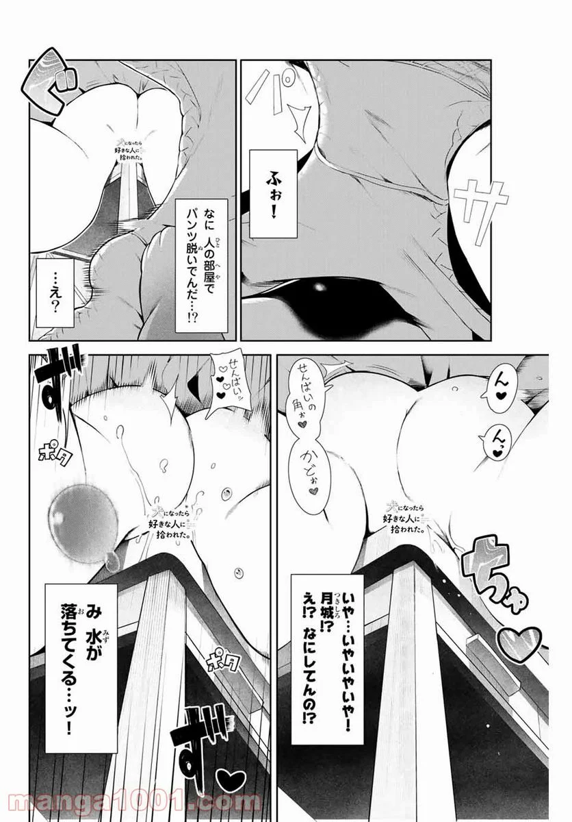 犬になったら好きな人に拾われた。 第8話 - Trang 8