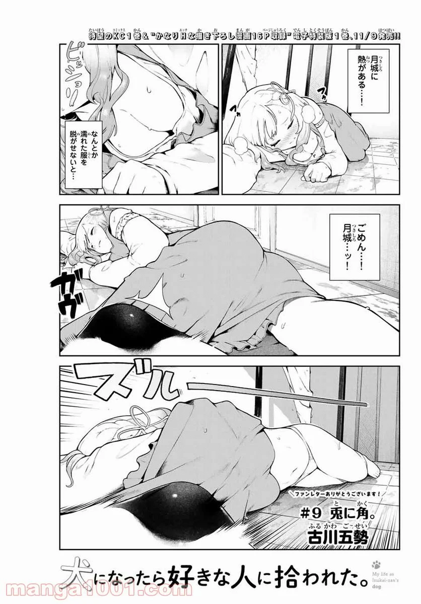 犬になったら好きな人に拾われた。 - 第9話 - Page 1