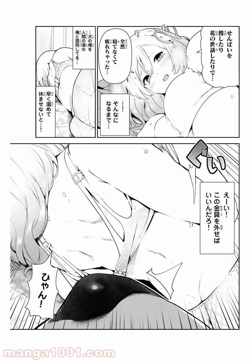 犬になったら好きな人に拾われた。 - 第9話 - Page 3