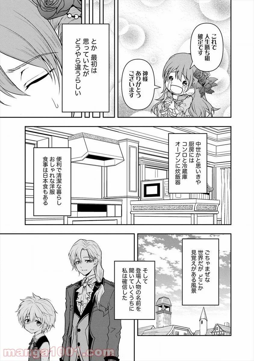 イケメンに転生したけど、チートはできませんでした。 - 第5話 - Page 5