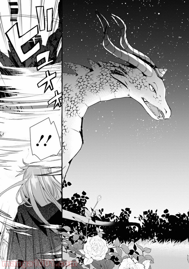 不本意ですが、竜騎士団が過保護です 第3.1話 - Trang 3
