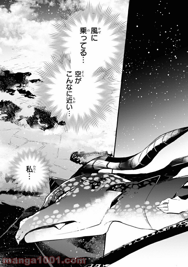 不本意ですが、竜騎士団が過保護です 第5.1話 - Trang 5