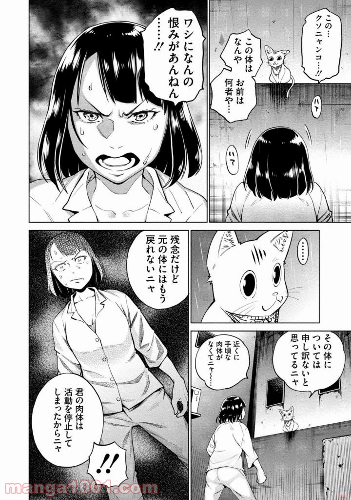 どるから - 第1話 - Page 37