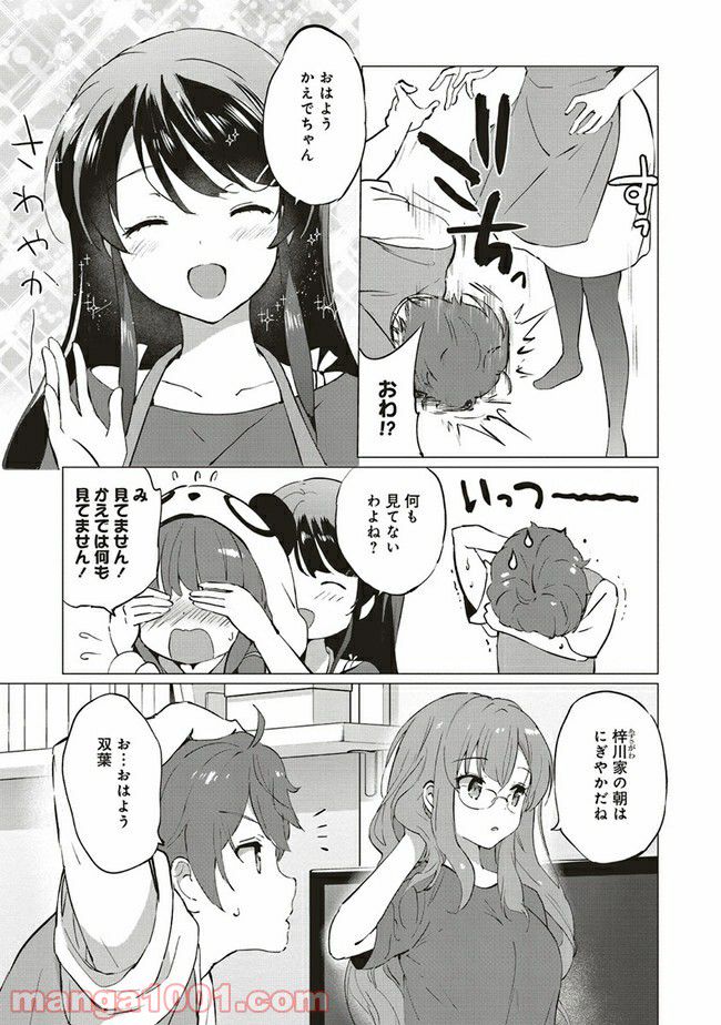 青春ブタ野郎はロジカルウィッチの夢を見ない 第3.2話 - Trang 17