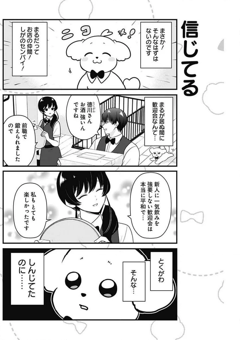 まるくん～はたらくマルチーズ～ - 第11話 - Page 3