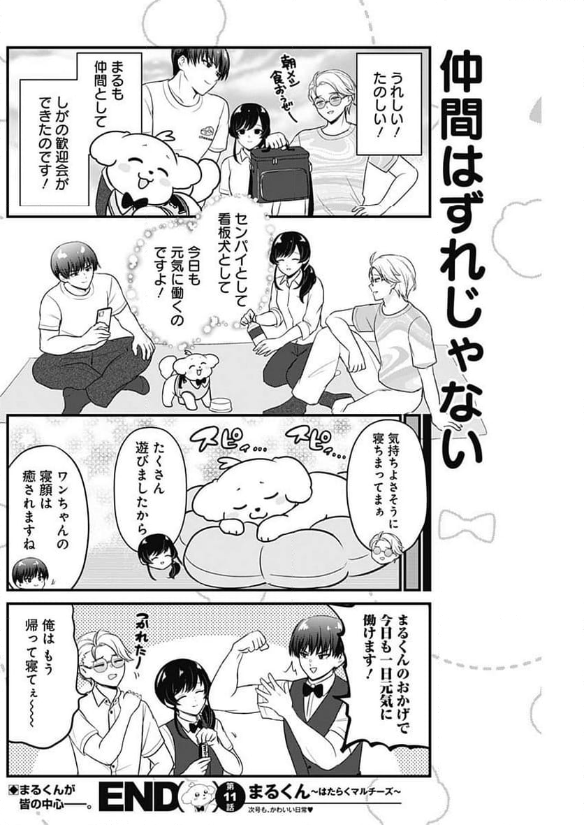 まるくん～はたらくマルチーズ～ - 第11話 - Page 15