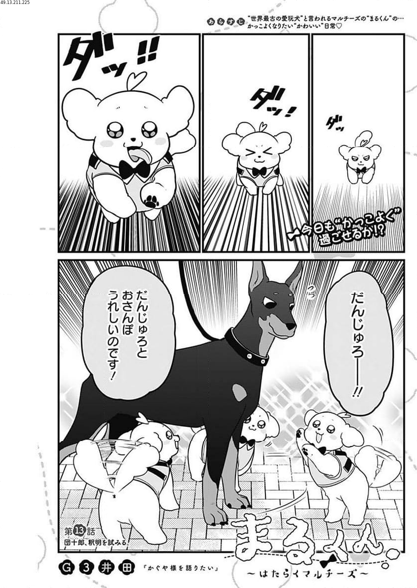 まるくん～はたらくマルチーズ～ - 第13話 - Page 1