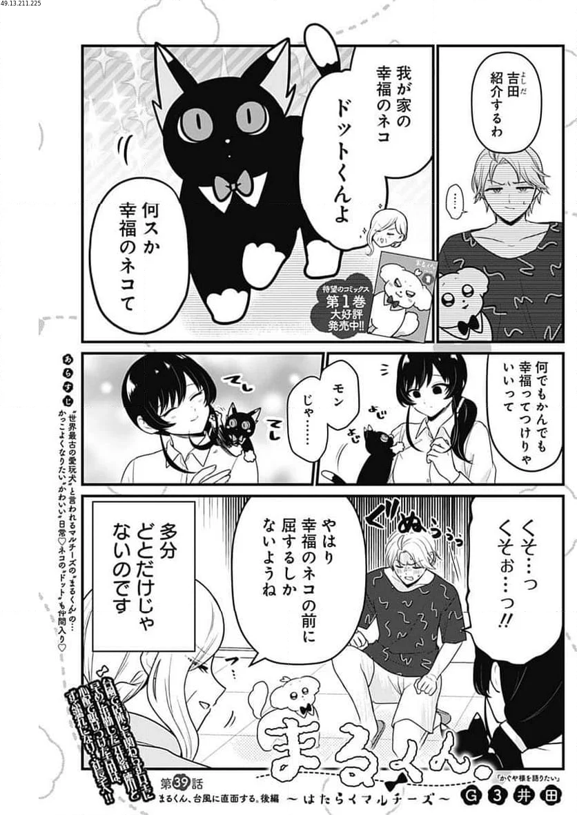 まるくん～はたらくマルチーズ～ - 第39話 - Page 1