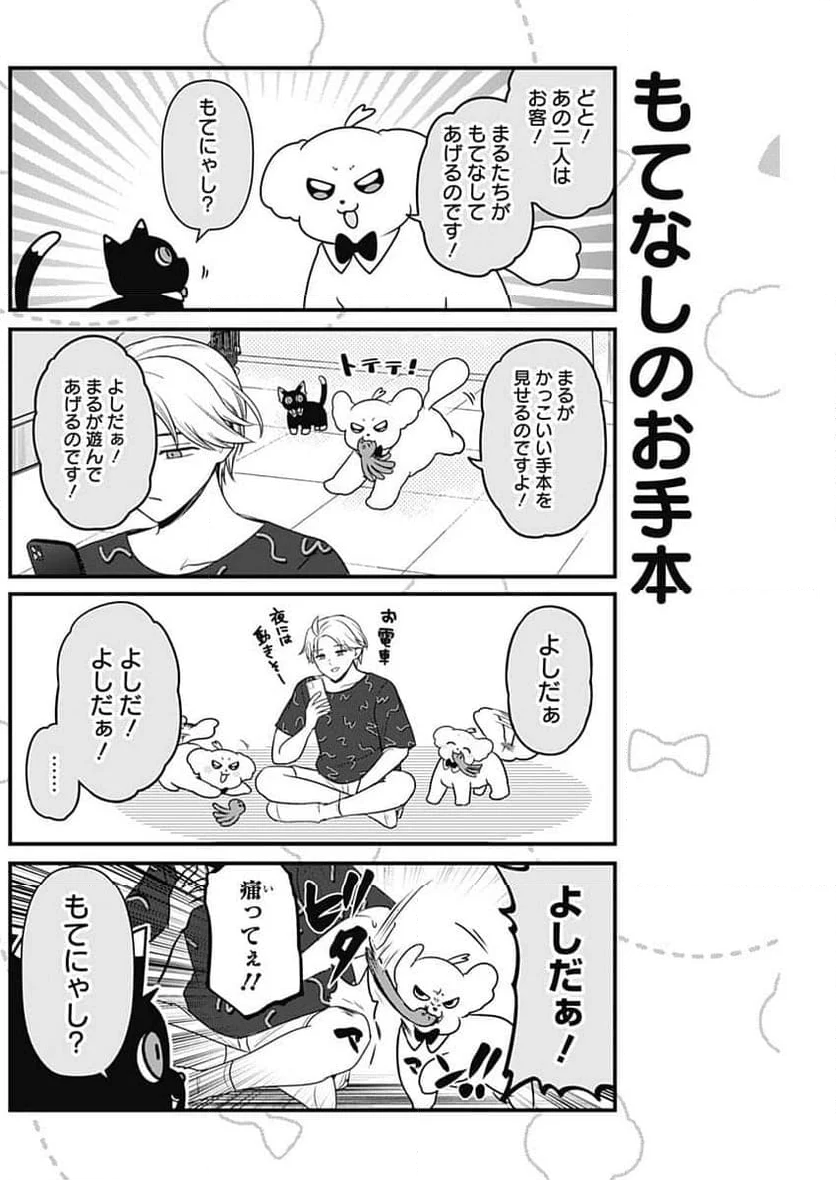 まるくん～はたらくマルチーズ～ - 第39話 - Page 7