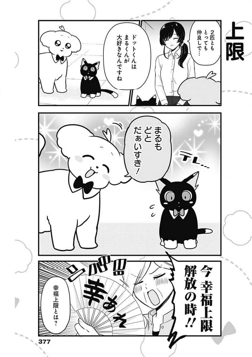 まるくん～はたらくマルチーズ～ - 第39話 - Page 13