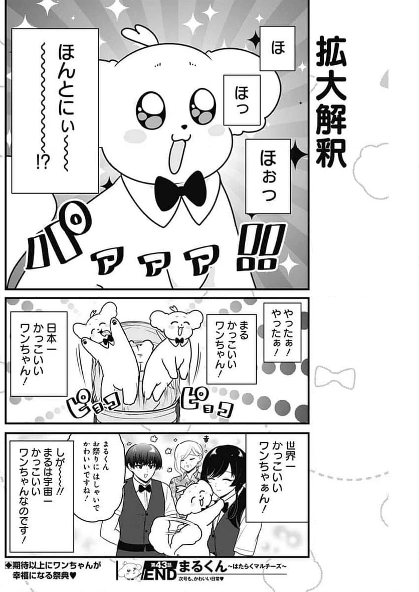 まるくん～はたらくマルチーズ～ - 第43話 - Page 8