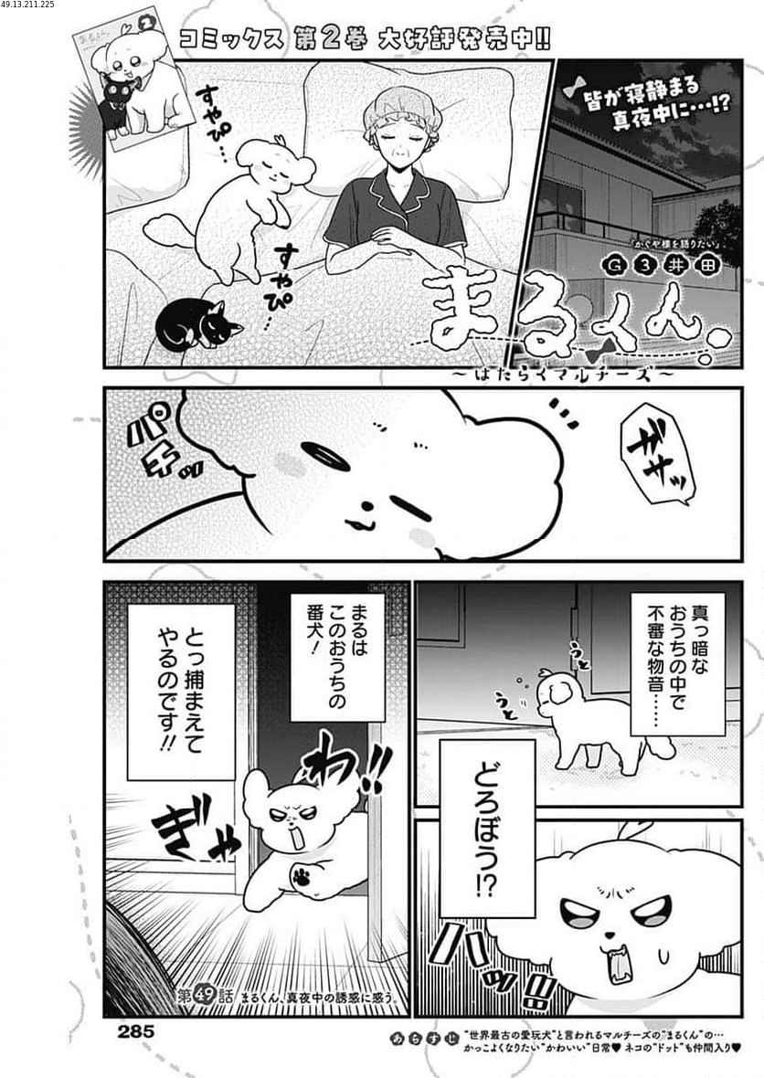 まるくん～はたらくマルチーズ～ - 第49話 - Page 1