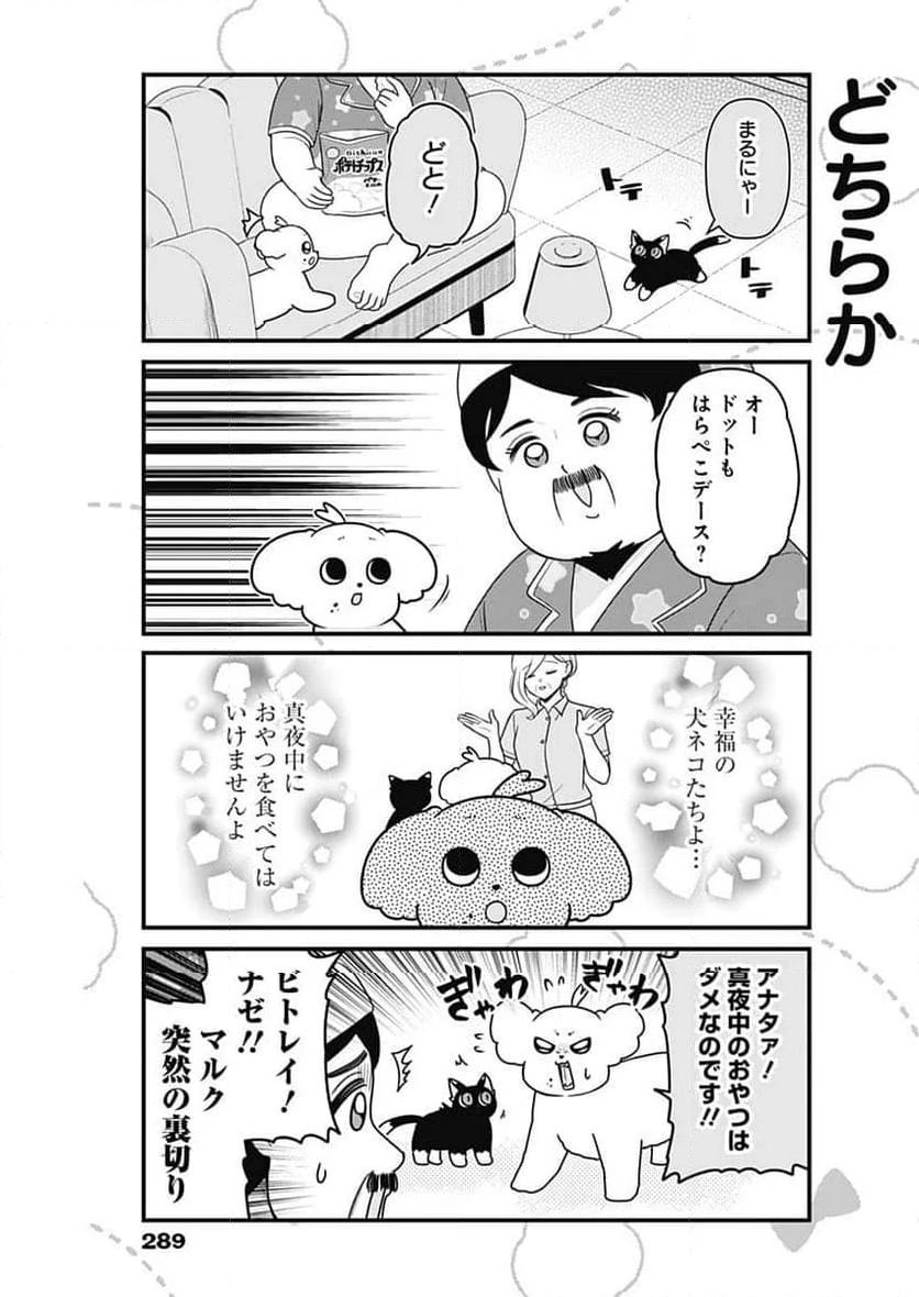 まるくん～はたらくマルチーズ～ - 第49話 - Page 9