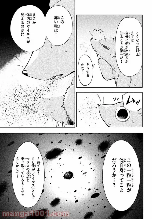 ウイルス転生から始まる異世界感染物語 - 第1話 - Page 17