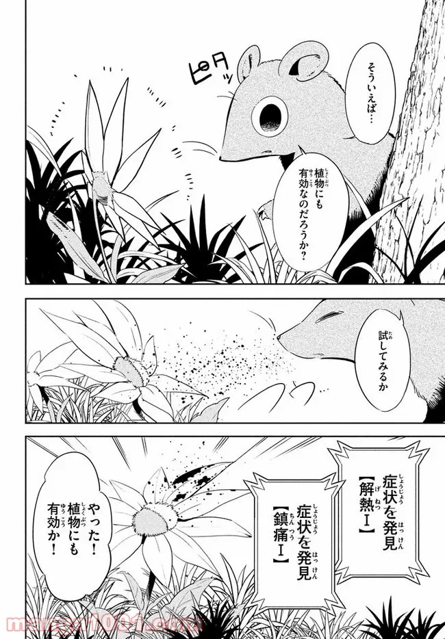 ウイルス転生から始まる異世界感染物語 - 第1話 - Page 27