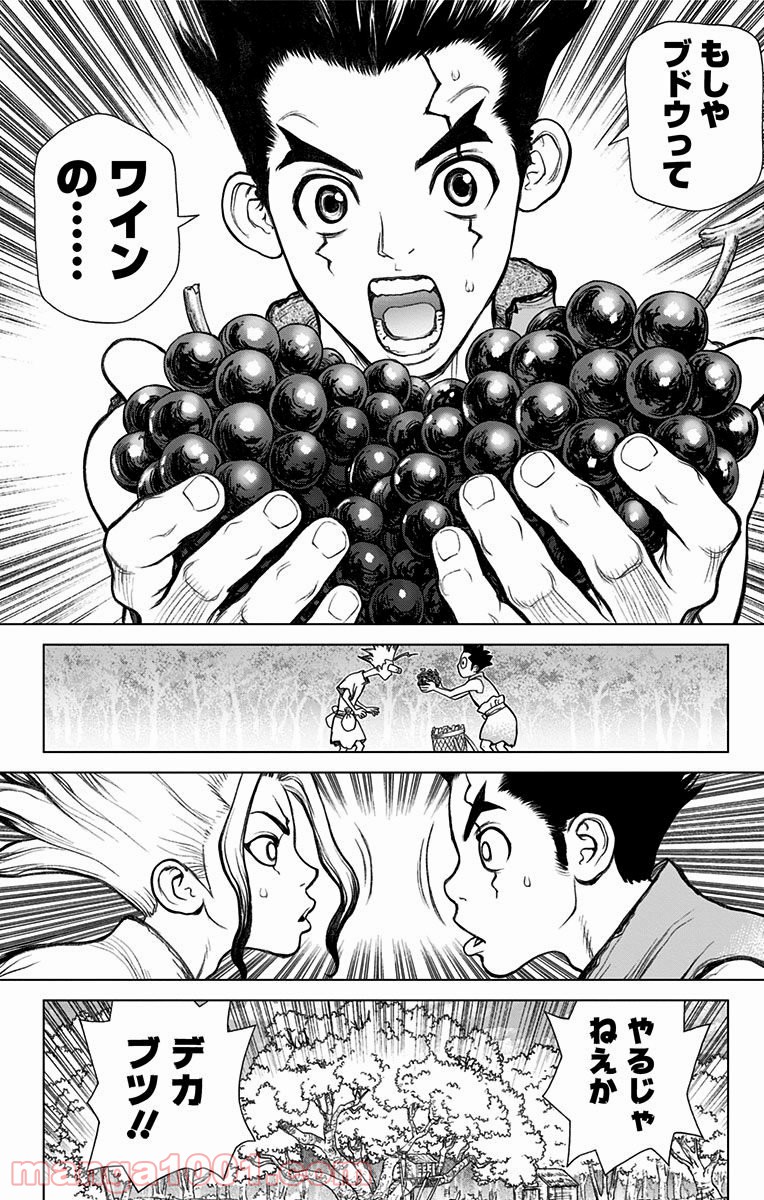 ドクターストーン – DR. STONE - 第2話 - Page 12