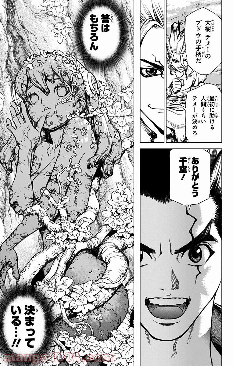 ドクターストーン – DR. STONE - 第2話 - Page 25