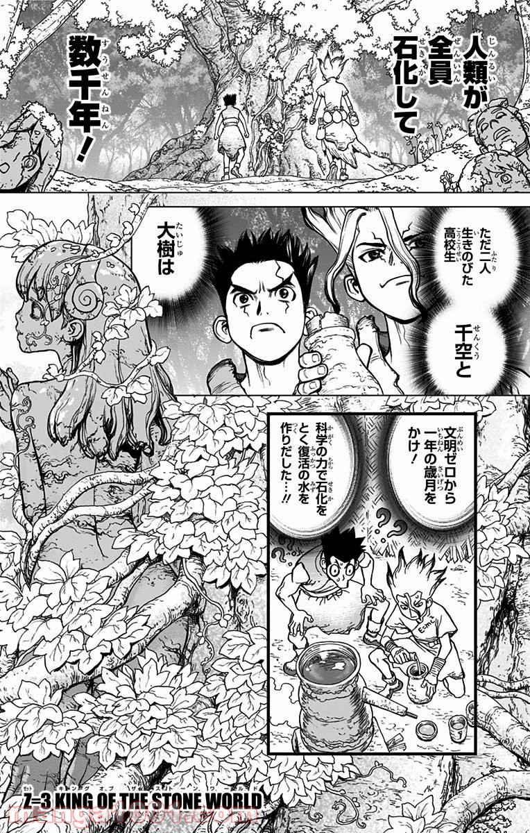 ドクターストーン – DR. STONE - 第3話 - Page 1