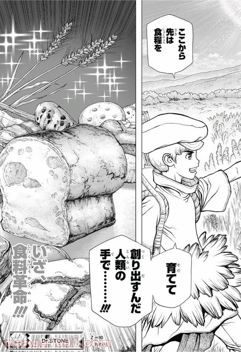 ドクターストーン – DR. STONE - 第90話 - Page 19