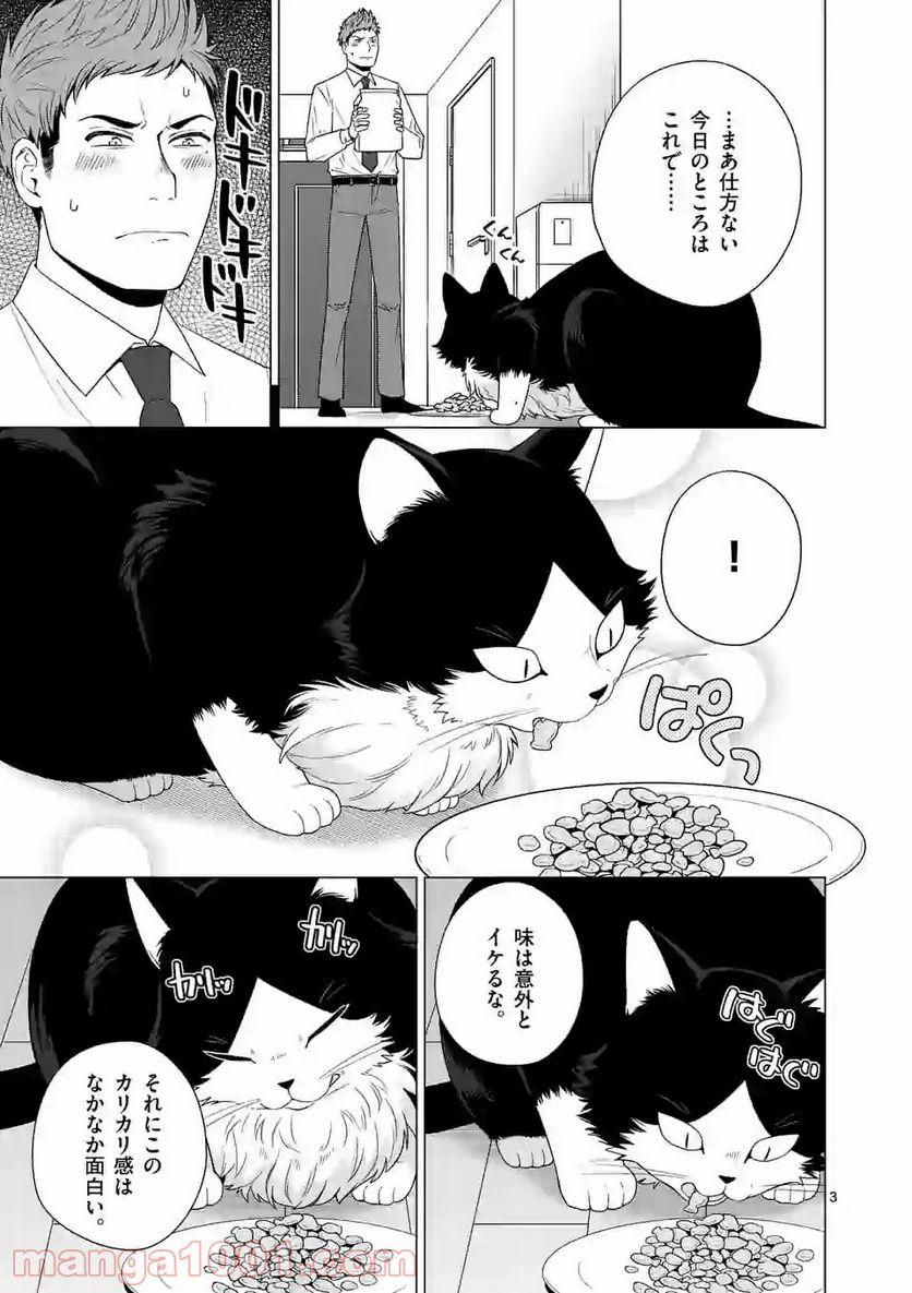 猫のしもべにされまして - 第2話 - Page 3