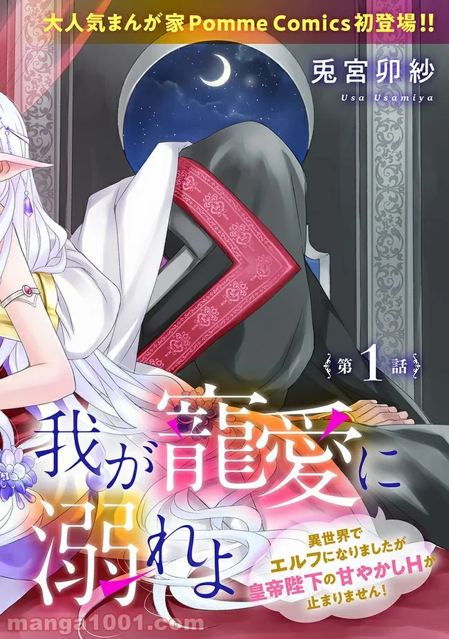 我が寵愛に溺れよ　異世界でエルフになりましたが皇帝陛下の甘やかしＨが止まりません！ 第1.1話 - Trang 2