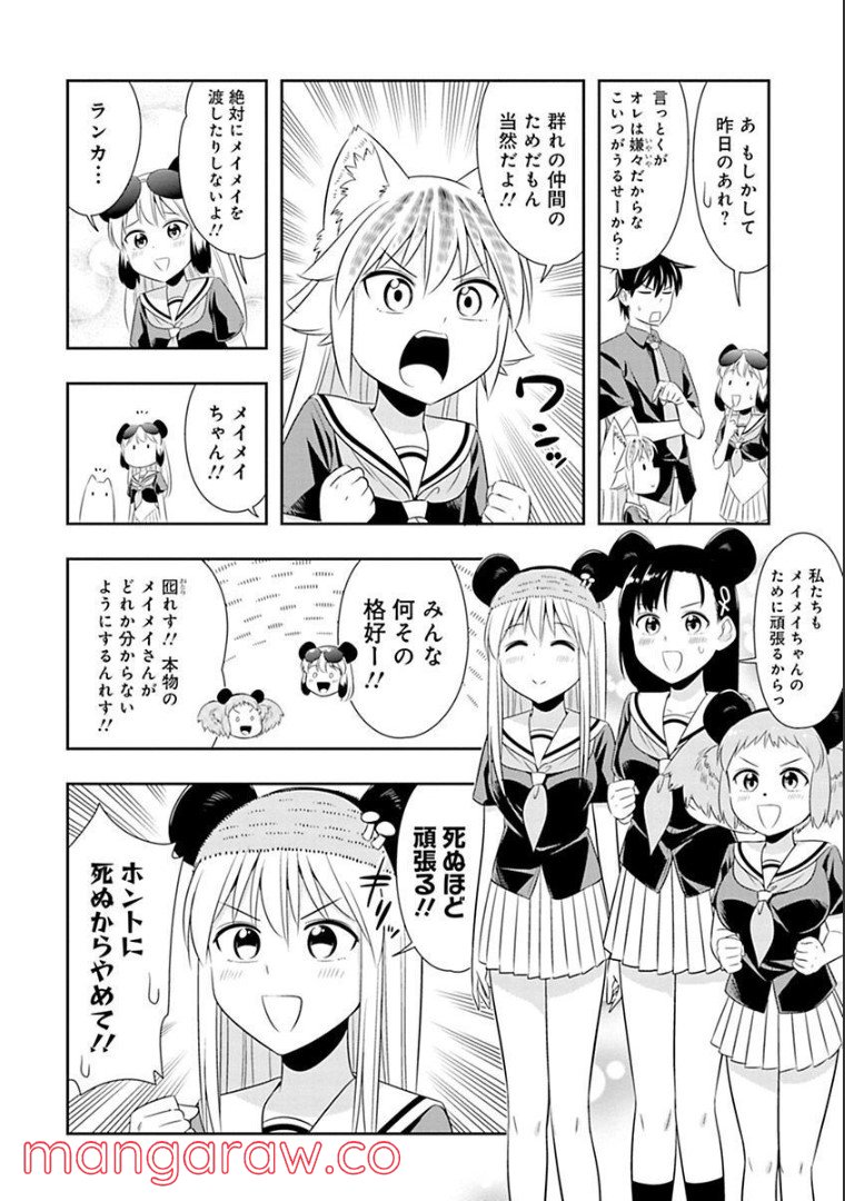 群れなせ！シートン学園 - 第59話 - Page 13